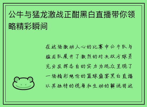 公牛与猛龙激战正酣黑白直播带你领略精彩瞬间
