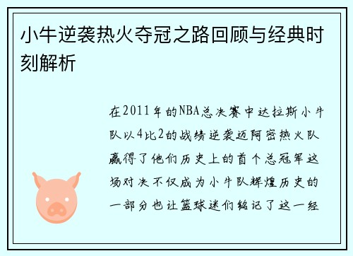 小牛逆袭热火夺冠之路回顾与经典时刻解析