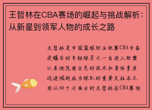 王哲林在CBA赛场的崛起与挑战解析：从新星到领军人物的成长之路